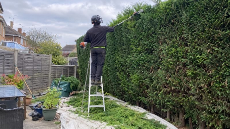 Hedge Trimming services in Doncaster, South Yorkshire